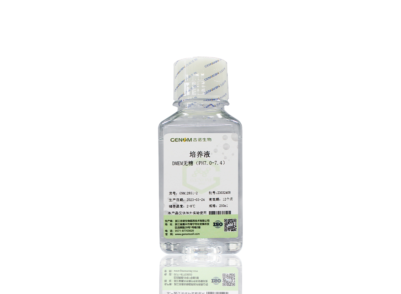 DMEM high glucose (containing HEPES, without phenol red and sodium pyruvate)